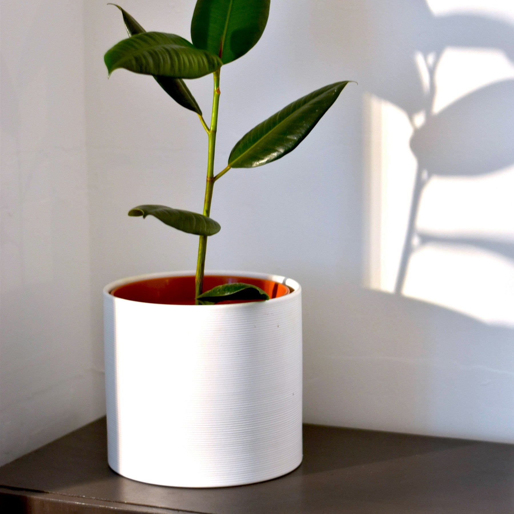 Single Onda planter with a green houseplant