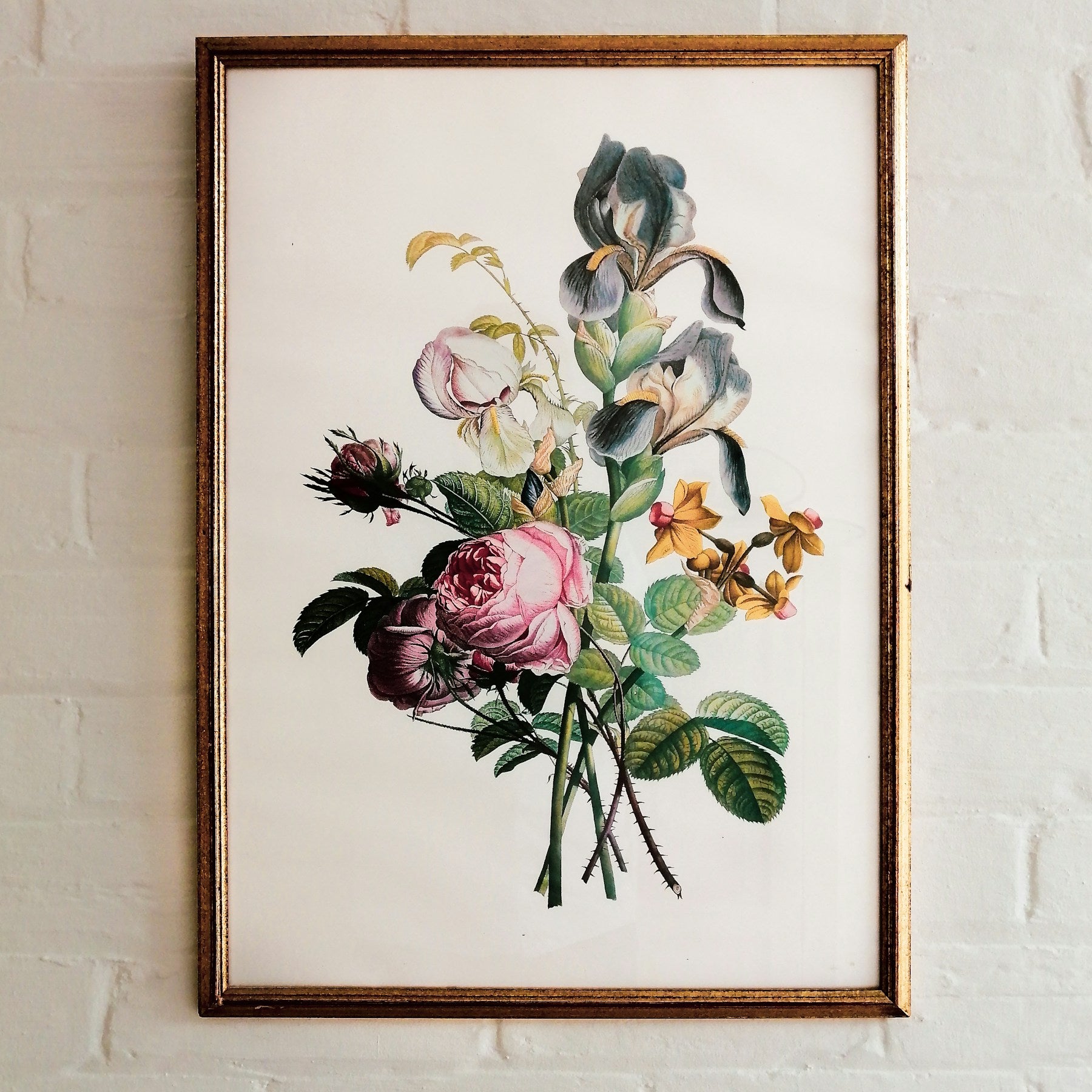 Flora botanical art print in a natural oak frame
